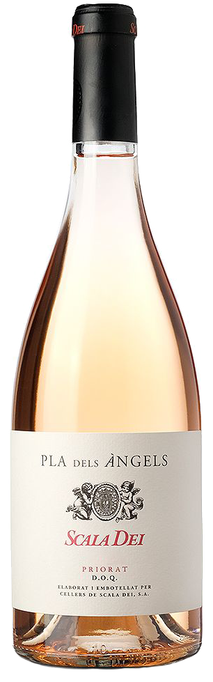 Afbeelding van Scala Dei Pla Angels '23