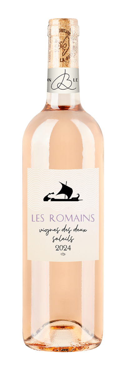 Afbeelding van Vignes des Deux Soleils Fines Bulles rosé